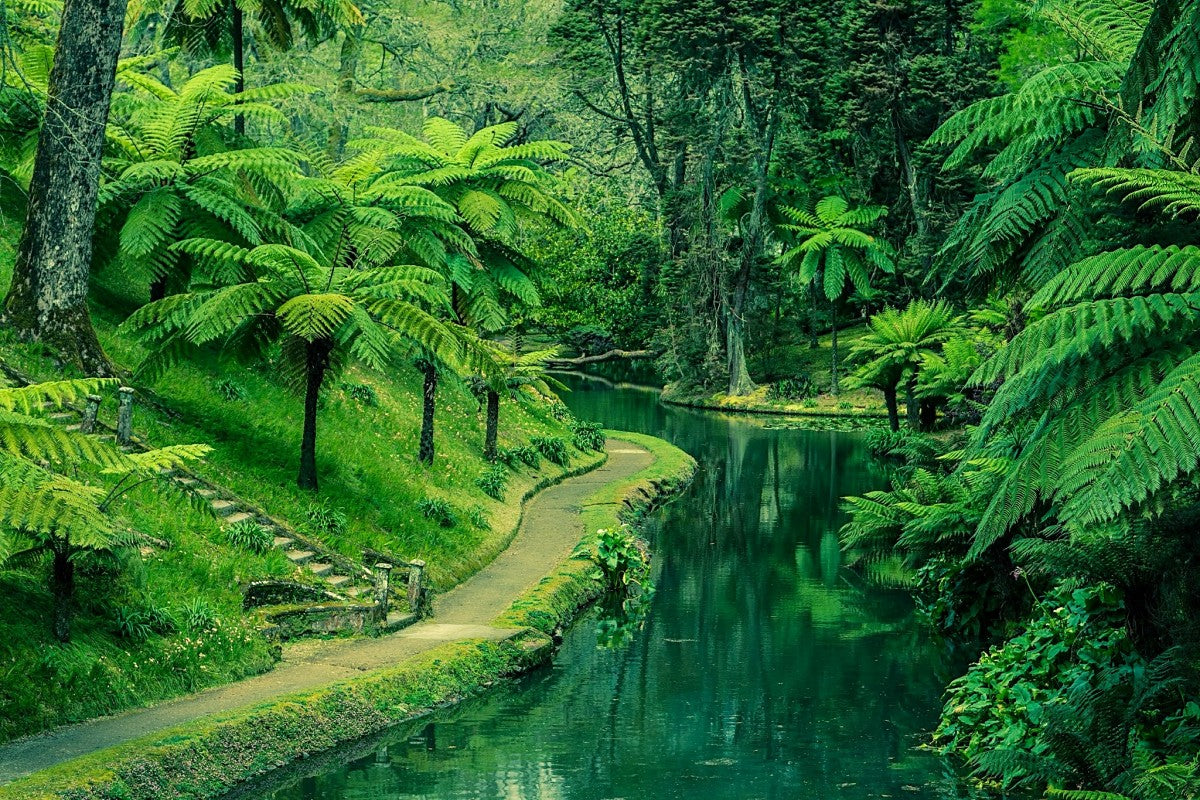 The Azores