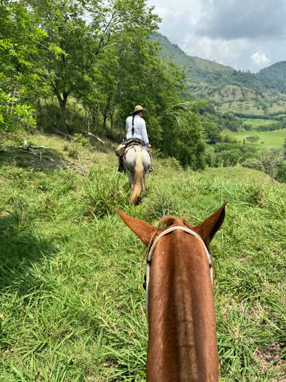 Excursão pela Colômbia