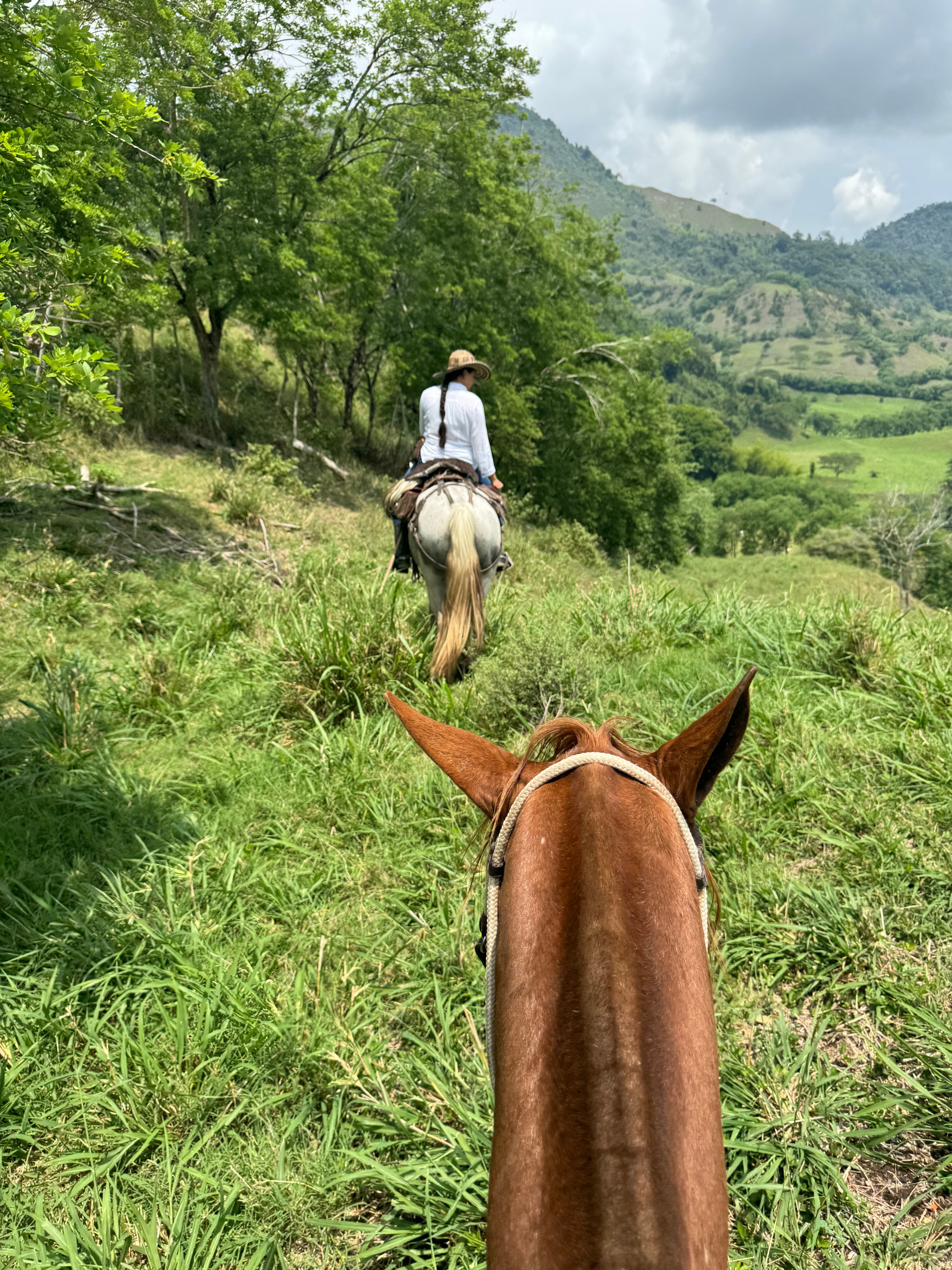 Excursão pela Colômbia